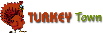 Turkey Town T's